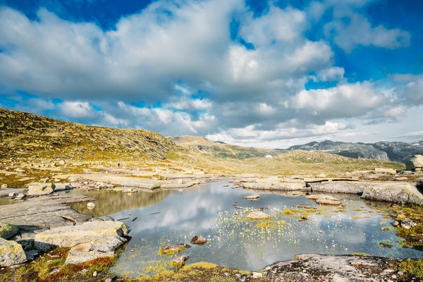 Comment intégrer des éléments de décoration scandinave dans un restaurant nordique?